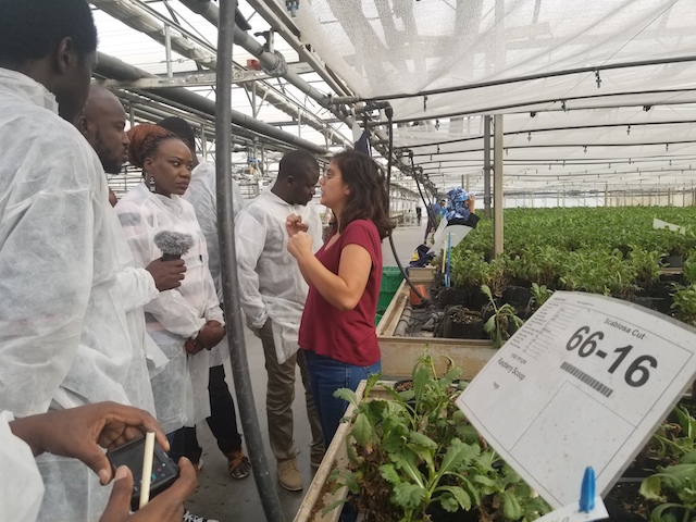 An official of Danziger greenhouse farm explaining the drip irrigation system to a group of African journalists on a study tour in Israel