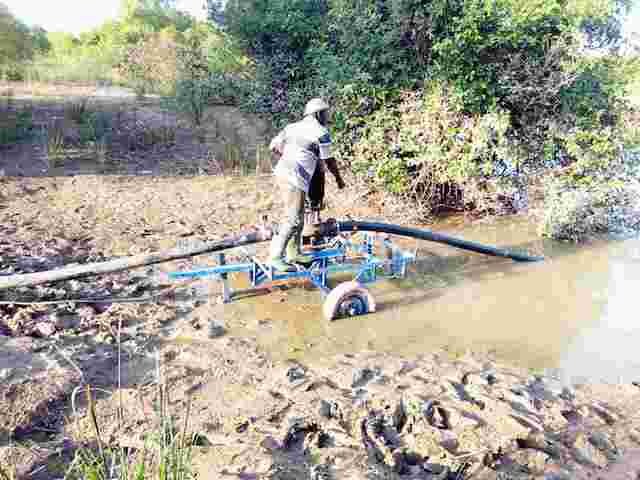 Mr Aboubaka Iddrisu using the solar pumps to irrigate his crops
