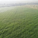 Goshen Porche Ranch is located in the North Tongu District