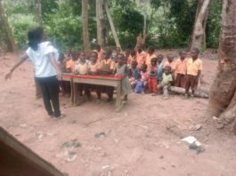 The KG pupils having lessons under trees and using logs as chairs