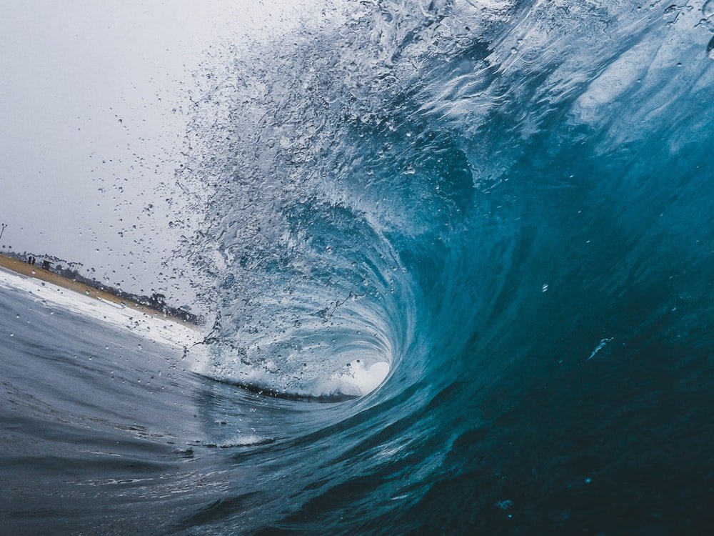 bk tidal wave dead bk tidal wave dead