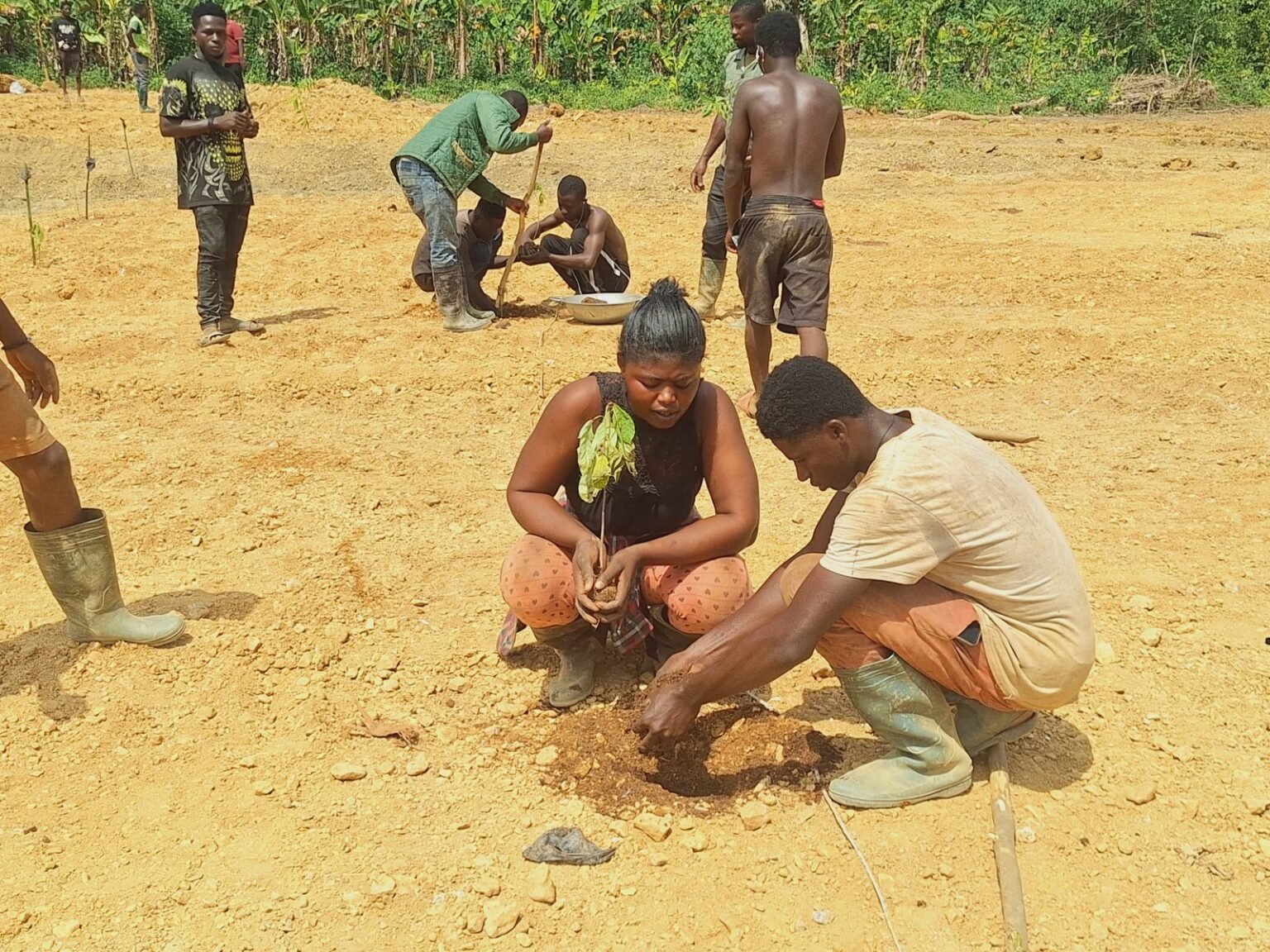 Edelmetallum Resources