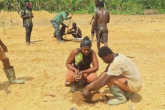 Edelmetallum Resources