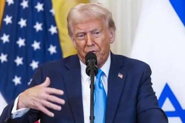 President Donald Trump