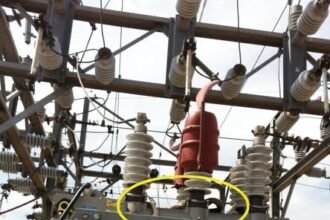 ECG engineers inspect power lines after snake-induced outage in Ashanti Region