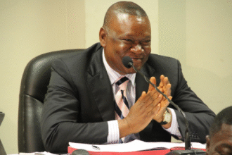Justice Senyo Dzamefe speaks during vetting on court trial delays