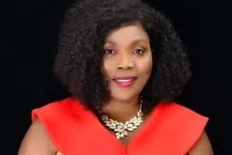 PNP calls for audit of credentials of Mahama's appointees