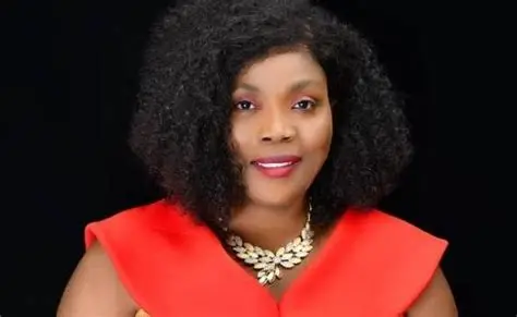 PNP calls for audit of credentials of Mahama's appointees