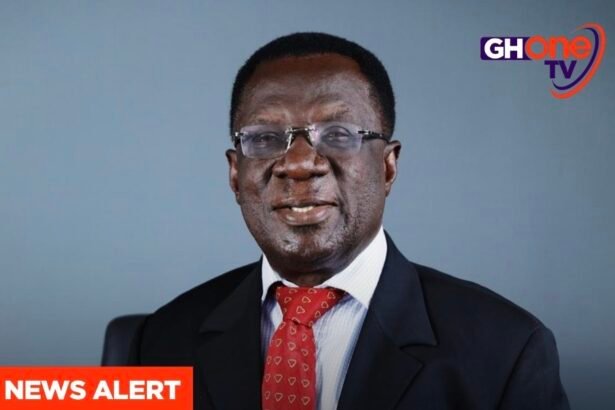 Sky Train case: Court warns Prof. Ameyaw-Akumfi to appear with lawyer by Wednesday