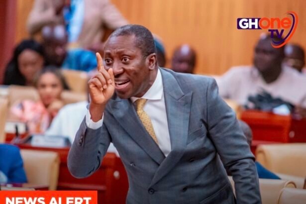 Afenyo-Markin criticises government over unpaid workers